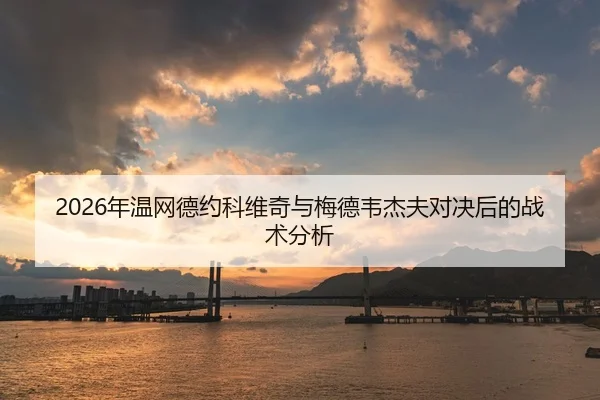 2026年温网德约科维奇与梅德韦杰夫对决后的战术分析