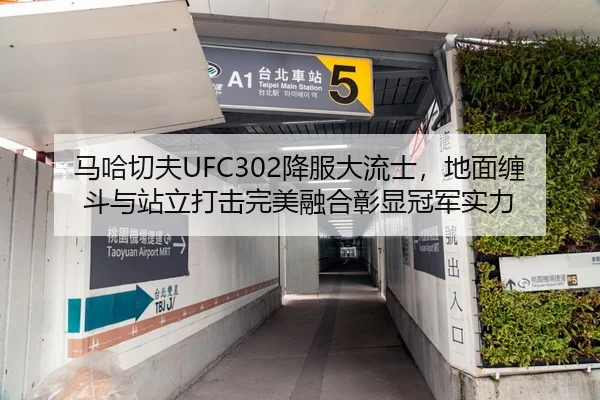 马哈切夫UFC302降服大流士，地面缠斗与站立打击完美融合彰显冠军实力